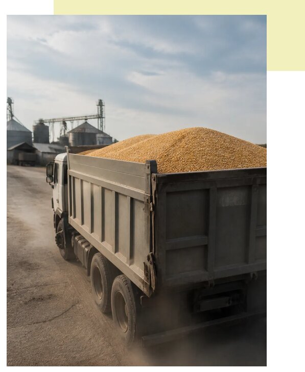 Перевозка сельхозпродукции навалом в Первоуральск по цене от 3088 р. | Агросервис-Прв